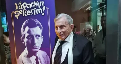 usta-sanatci-haldun-dormen-vefat-etti-hasanilk-şanlıurfa