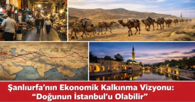 hasan-ilk-sanliurfa-dogunun-istanbulu-olabilir