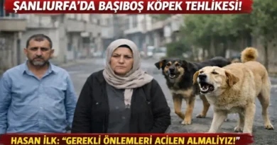 hasan-ilkten-sanliurfada-basibos-kopek-sorununa-iliskin-basin-aciklamasi